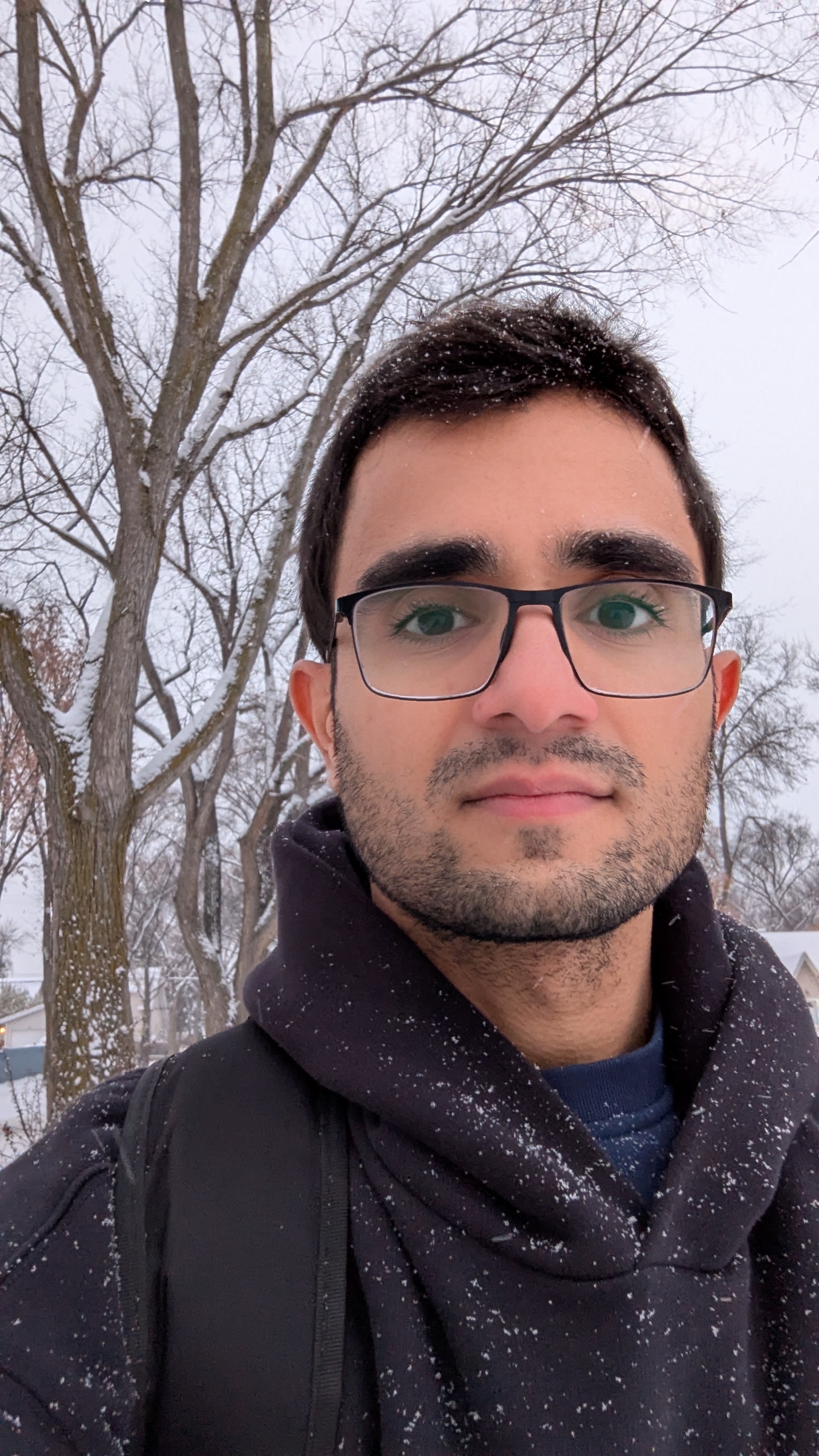 Amir Bahmani